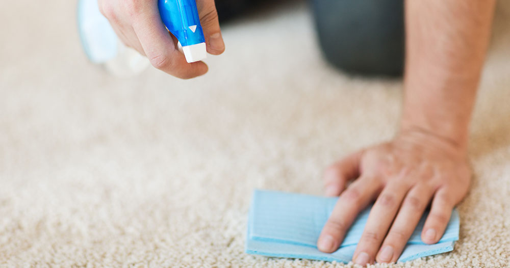 holiday carpet cleaning
